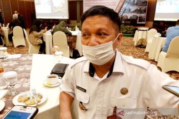 Tumbuh positif, realisasi investasi PMA dan PMDN Kalteng sudah capai Rp4,48 T