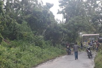Hujan badai, PLN Sumbar sigap atasi gangguan padam