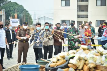 Kapolda Lampung musnahkan barang bukti narkoba