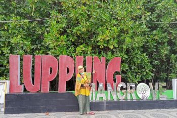 PAD sektor pariwisata Kabupaten Bulukumba hingga Agustus capai Rp3,3 miliar
