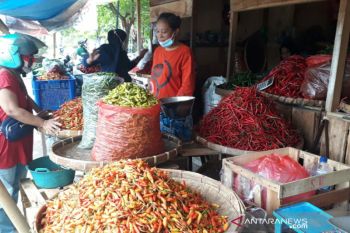 Harga cabai di Solo terjun bebas