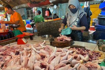 Asosiasi Masyarakat Peternak Sumsel sebut pelemahan daya beli sebabkan harga ayam turun