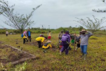 DLH dan Pramuka menanam 500 bibit tanaman hias di Sukamara
