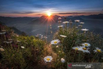 Dua desa di Lumajang masuk dalam nominasi Anugerah Desa Wisata Indonesia 2021