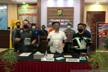 Polisi tangkap pria tanam ganja di rumah