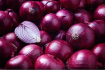 Disperindag DIY mendorong diversifikasi produk bawang merah