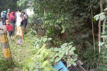 Truk masuk jurang di Jalan Raya Jonggat