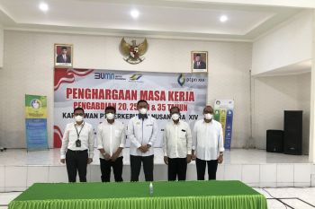 PTPN XIV miliki potensi TBM kelapa sawit 3.000 hektare