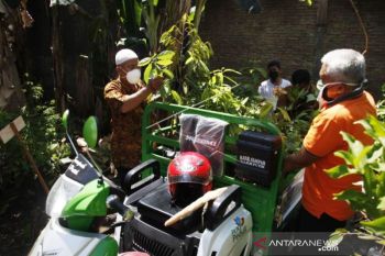 Kampung Buah Karangasem