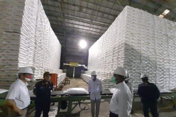 Dua pabrik gula milik PTPN VII segera masuk holding
