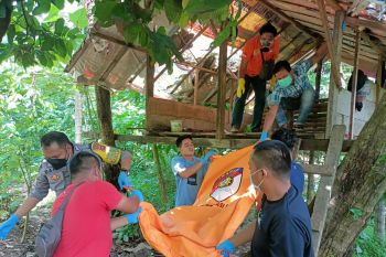 Dalam pondok di kebun kelapa, pria lansia ini ditemukan tak bernyawa