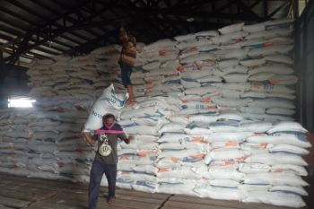 Persediaan stok beras di gudang Bulog Timika hanya sampai September