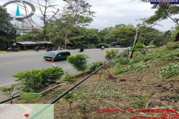 Telkomsel: tiga kota di Papua alami penurunan kualitas layanan