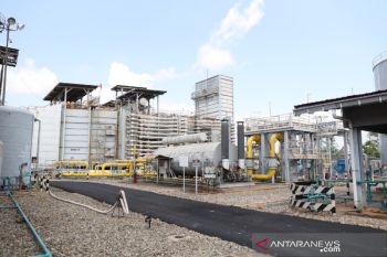 PLN-Pertamina mantapkan koordinasi amankan kehandalan listrik di Papua