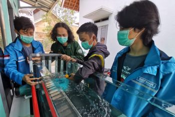 Mahasiswa Itera rancang inovasi pendorong arus laut untuk pembangkit listrik