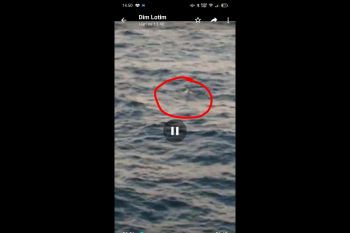 Ini detik-detik video pemuda ditinggal nikah melompat ke laut dari kapal feri Pototano-Kayangan
