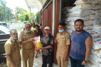 Kadis Tanaman Pangan Hortikultura dan Perkebunan Pesisir Selatan serahkan bantuan benih jagung hibrida