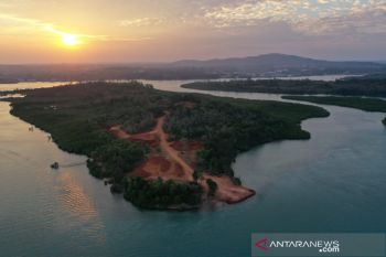 UMRAH-BRGM bangun  wisata mangrove di Pulau Bintan