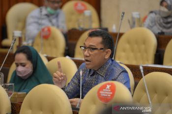 Anggota DPR sebut pembabatan hutan di Mabar ancam air bersih
