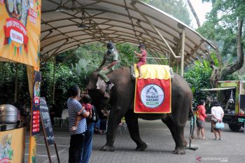 Satgas COVID-19 Bogor baru  izinkan empat tempat wisata beroperasi
