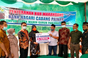 Bank Nagari luncurkan Kredit MaRanDang di Pesisir Selatan