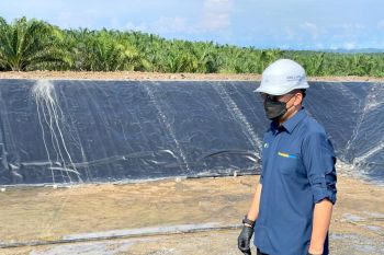 PTPN V targetkan empat Pembangkit Tenaga Biogas beroperasi tahun ini