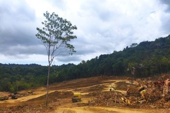KPH: Persemaian modern Labuan Bajo tak rusak mata air