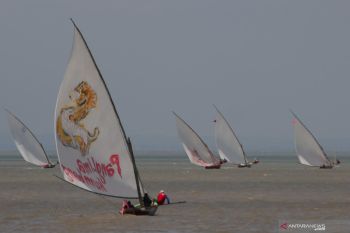 Lomba Perahu Layar Tradisional
