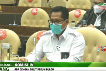 Bulog sebut stok beras nasional capai 1,16 juta ton