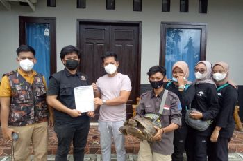 Berawal kasihan, pengelola Loebas Wisata ini minta kura-kura dilindungi dan serahkan ke KSDA
