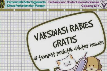 Yogyakarta sasar vaksinasi 2.300 hewan