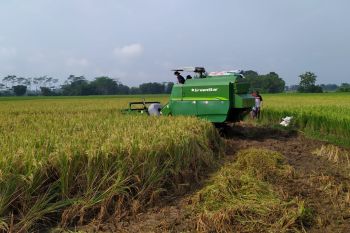 Pemkab Purbalingga pastikan ketersediaan pangan selama PPKM mencukupi