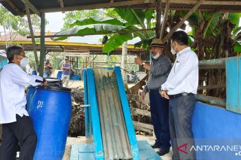 Pria ini olah urine sapi jadi bahan bakar bio gas
