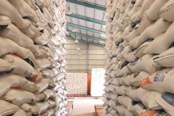 Harga beras di Kota Bandarlampung stabil Rp9.000 per kilogram