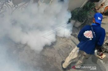 Waspada, Dua warga Pekanbaru meninggal akibat DBD