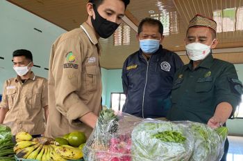 Staf Khusus Kementan siap sampaikan keluhan petani food estate Kalteng