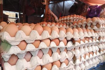 Harga sembako di Kota Makassar relatif stabil saat musim pancaroba