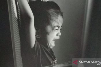 Dharma Wanita imbau optimalisasi selter tekan kasus kekerasan anak dan perempuan