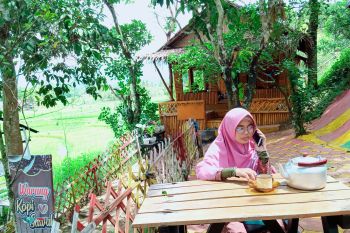 Wisata kuliner dan warung kopi di tengah sawah diminati