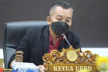 Ketua DPRD sarankan DKPP beli beras petani di Seruyan