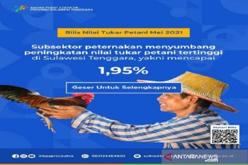Nilai tukar petani Sultra pada Agustus turun 1,10 persen