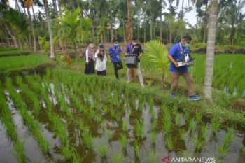 Pelayanan E-KTP Tunggu Di Rumah Saja