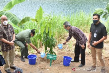 Pemkab Bantul mendorong pengembangan agroforestry di Desa Sriharjo