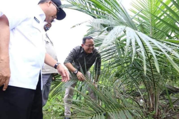 Musi Banyuasin targetkan pusat energi biofuel 2030