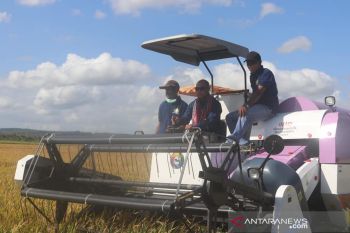 Pemprov dorong kabupaten/kota di NTT  optimalkan produktivitas petani