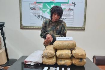 Seorang pengedar beserta tujuh kilogram ganja ditangkap polisi di Agam