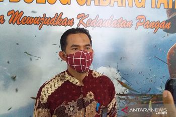 Stok beras di gudang Bulog Tahuna Sulut sebanyak 991 ton