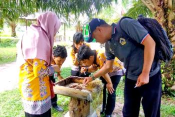 Pemkab Katingan bantu tingkatkan pemasaran madu kelulut
