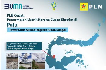 Aksi sigap PLN tangani gangguan transmisi section Poso-Sidera