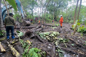 Tim Sar Gabungan lanjutkan pencarian korban banjir Ngada